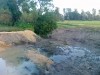 20130824959.jpg