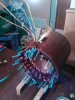 WP_001471.jpg